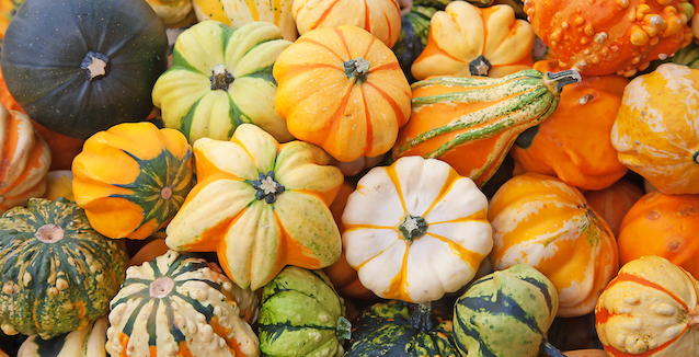 Beliebte Kürbissorten und Zubereitungsarten für das leuchtende Herbstgemüse