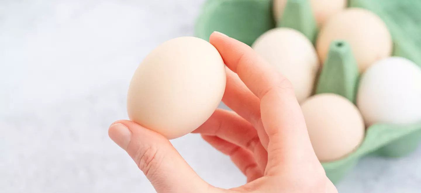 Im Vordergrund hält eine Person ein Ei in der Hand, im Hintergrund ein Eierkarton mit weiteren Eiern 